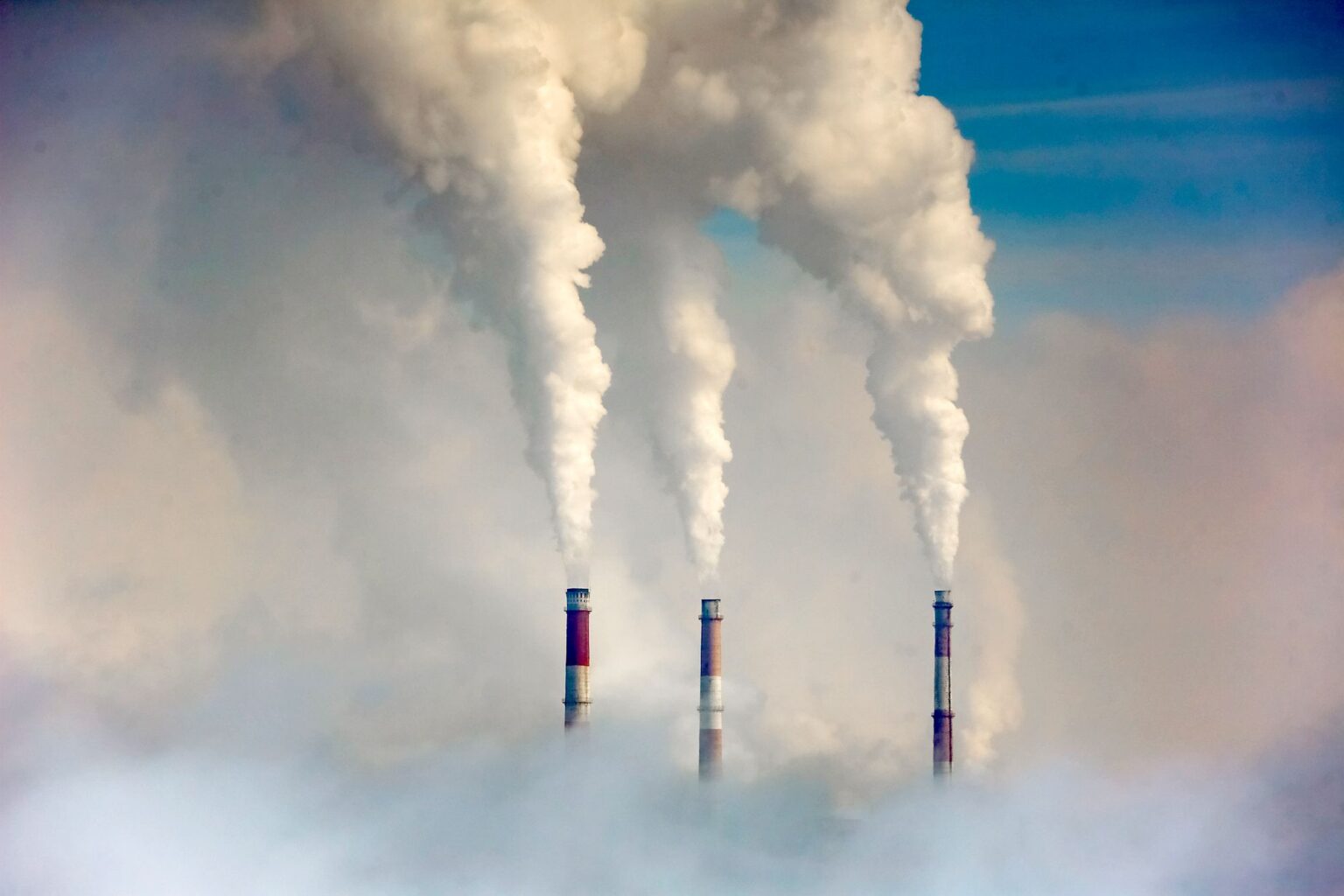 Comment le changement climatique aggrave les maladies infectieuses à travers le monde