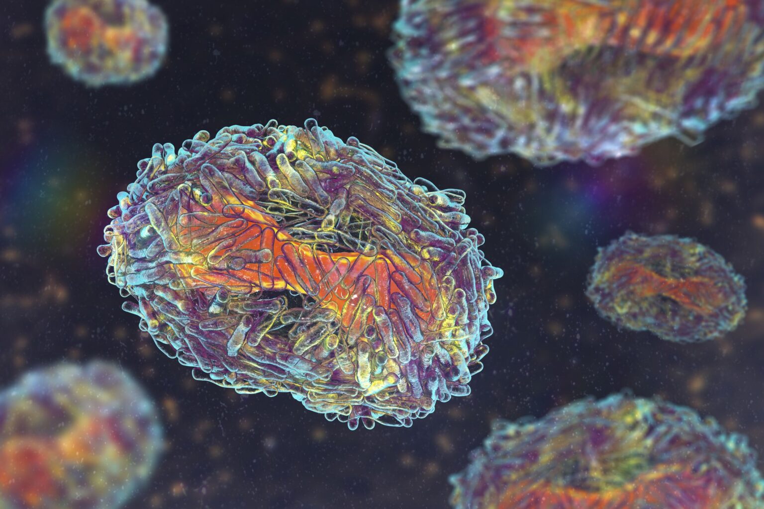 Monkeypox a le potentiel de muter et de résister au traitement antiviral, avertit la FDA Monkeypox a le potentiel de muter et de résister au traitement antiviral, avertit la FDA