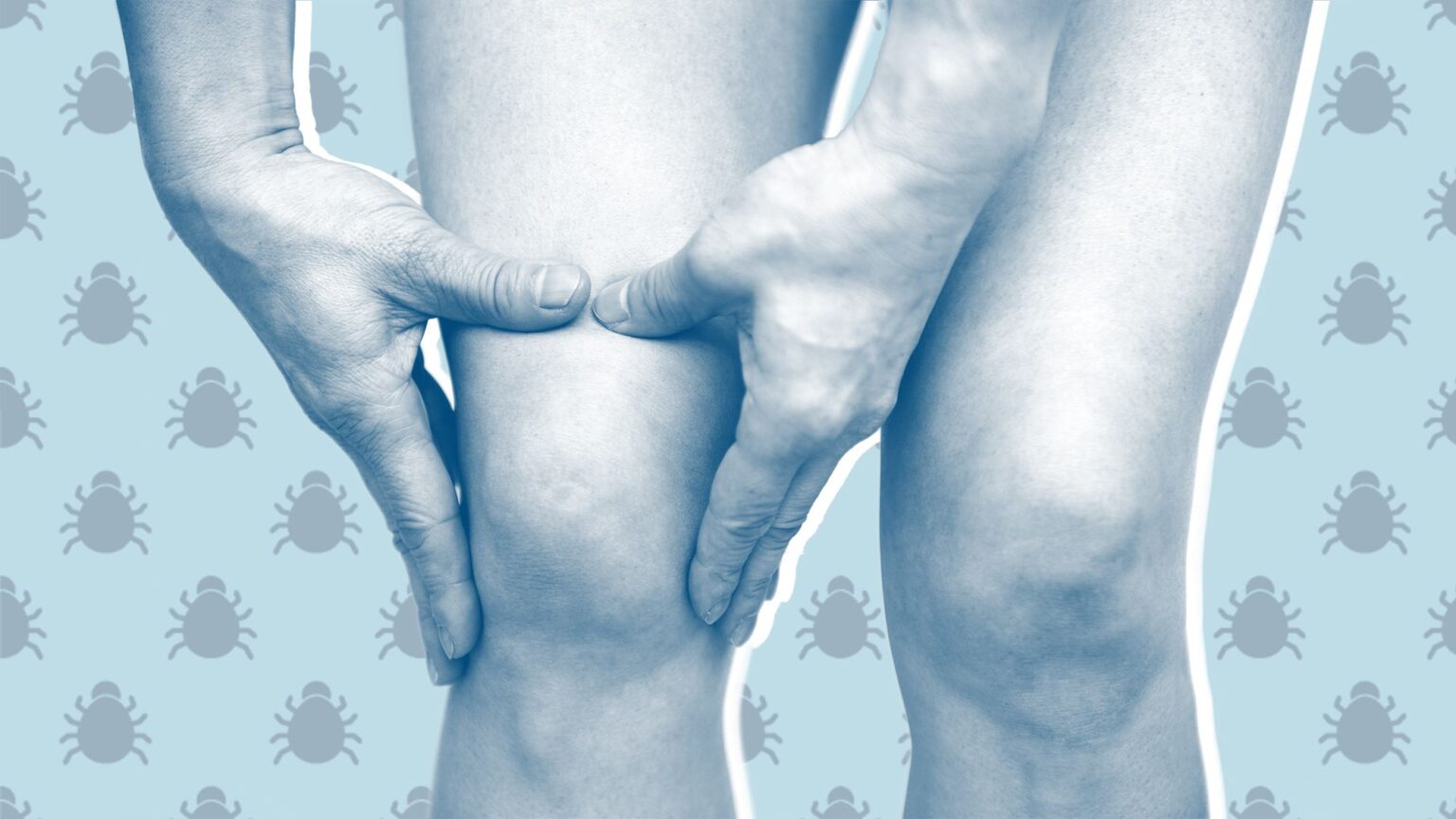 14 symptômes de la maladie de Lyme à surveiller, selon les médecins 14 symptômes de la maladie de Lyme à surveiller, selon les médecins