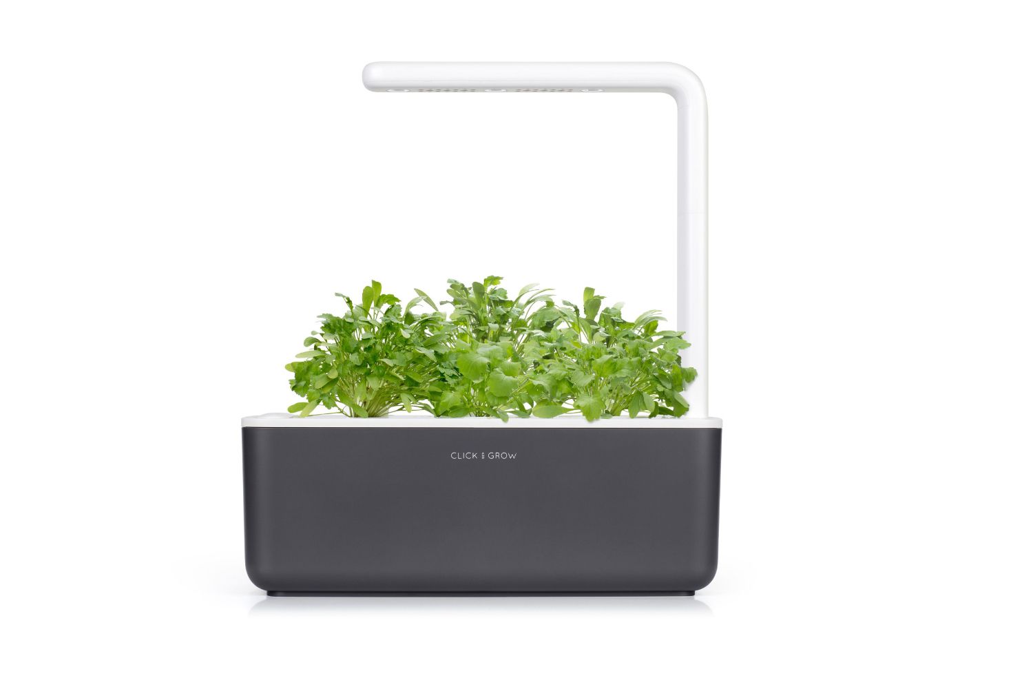 Jardin intelligent 3