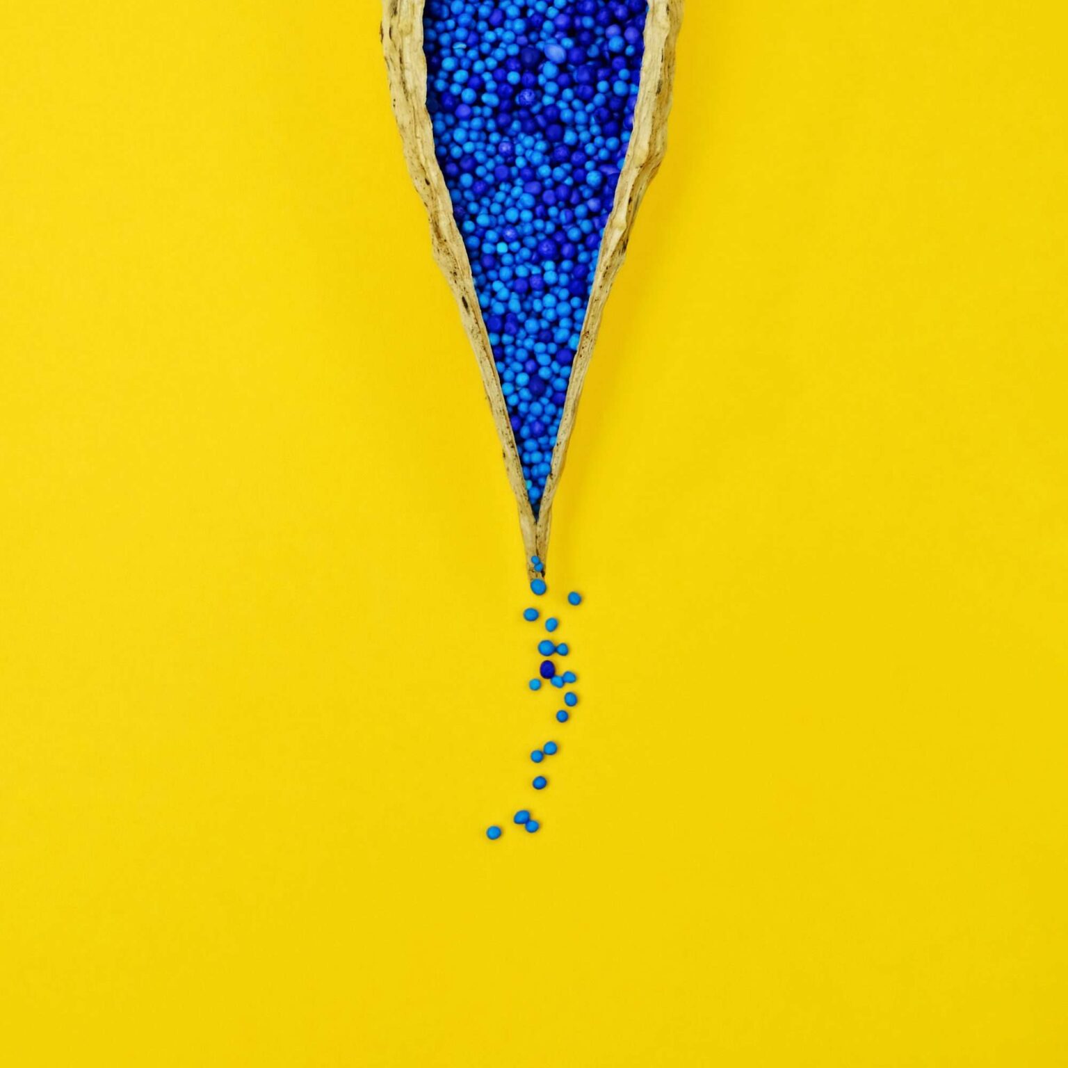 Qu'est-ce qu'un kyste de Bartholin ?