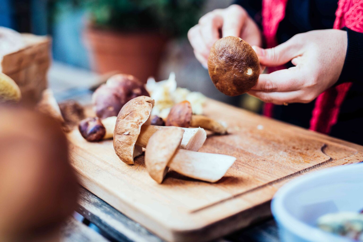 Les champignons pourraient-ils aider à améliorer l’hypertension artérielle ? Les champignons pourraient-ils aider à améliorer l'hypertension artérielle ?