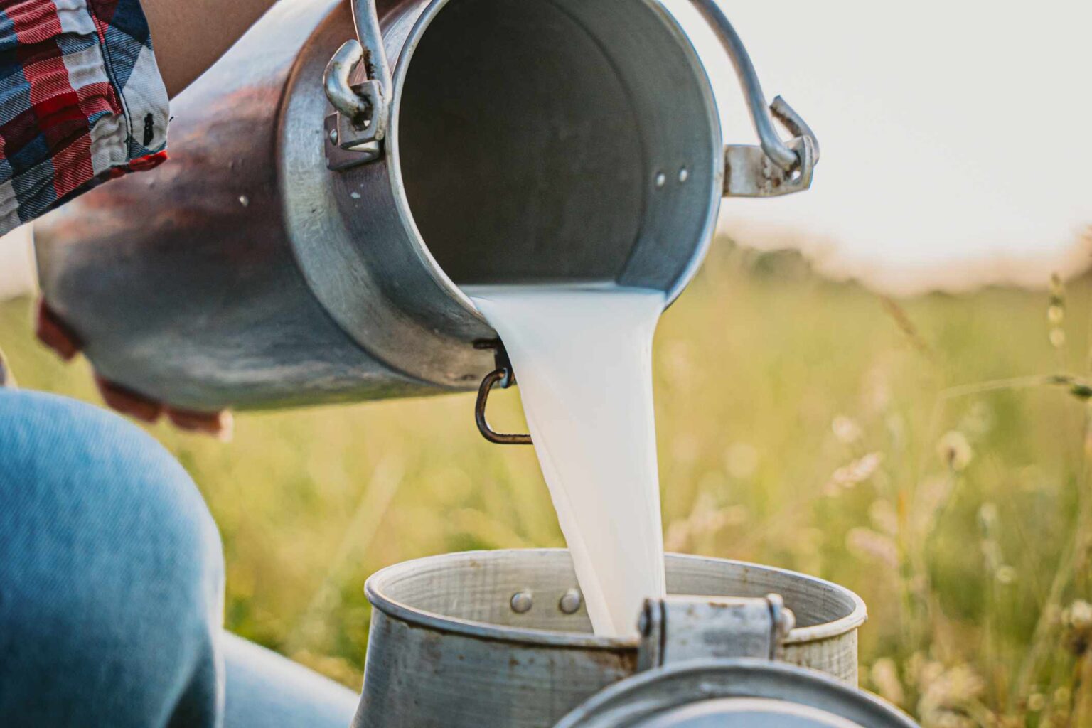 Le lait cru gagne en popularité, mais est-il sûr à boire ?