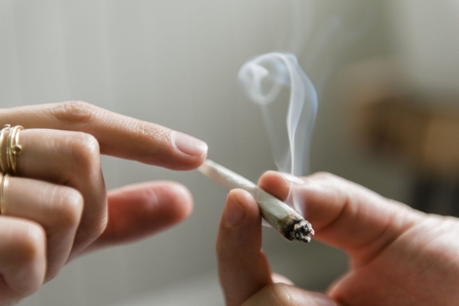 Étude : Les consommateurs de marijuana présentent des niveaux plus élevés de métaux toxiques dans le sang et l’urine Étude : Les consommateurs de marijuana présentent des niveaux plus élevés de métaux toxiques dans le sang et l'urine