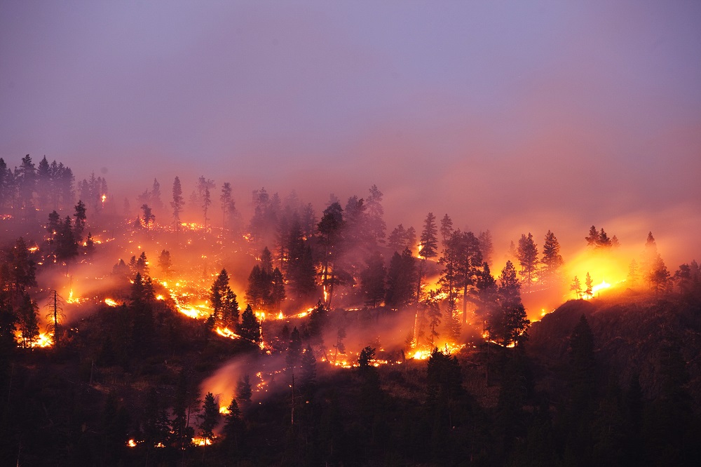 La fumée des incendies de forêt peut augmenter le risque de nouveau cancer et les mauvais résultats des cancers existants La fumée des incendies de forêt peut augmenter le risque de nouveau cancer et les mauvais résultats des cancers existants