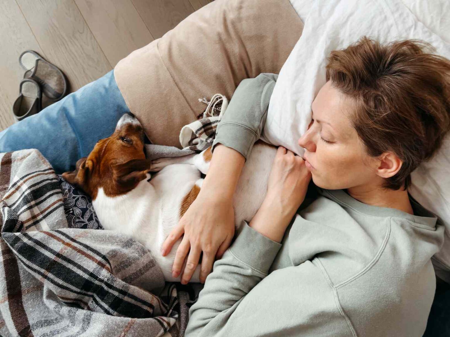 Devriez-vous laisser vos animaux dormir au lit avec vous ? Voici ce que les experts ont à dire Devriez-vous laisser vos animaux dormir au lit avec vous ? Voici ce que les experts ont à dire