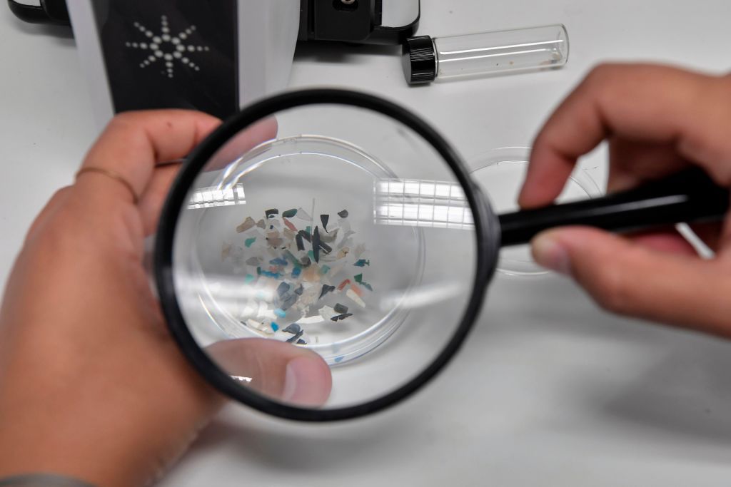 Étude : Les microplastiques trouvés dans les artères obstruées sont liés à un risque accru de crise cardiaque et d'accident vasculaire cérébral Étude : Les microplastiques trouvés dans les artères obstruées sont liés à un risque accru de crise cardiaque et d'accident vasculaire cérébral
