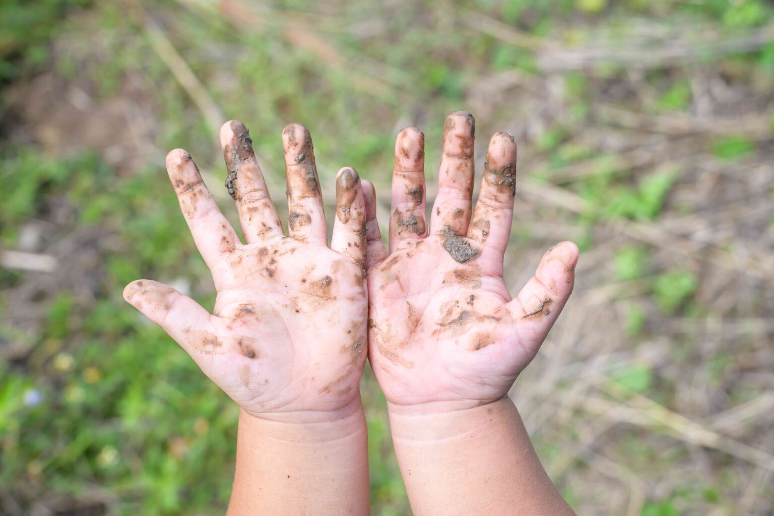 Près d'un ménage américain sur quatre pourrait avoir des niveaux dangereux de plomb dans son sol Près d'un ménage américain sur quatre pourrait avoir des niveaux dangereux de plomb dans son sol