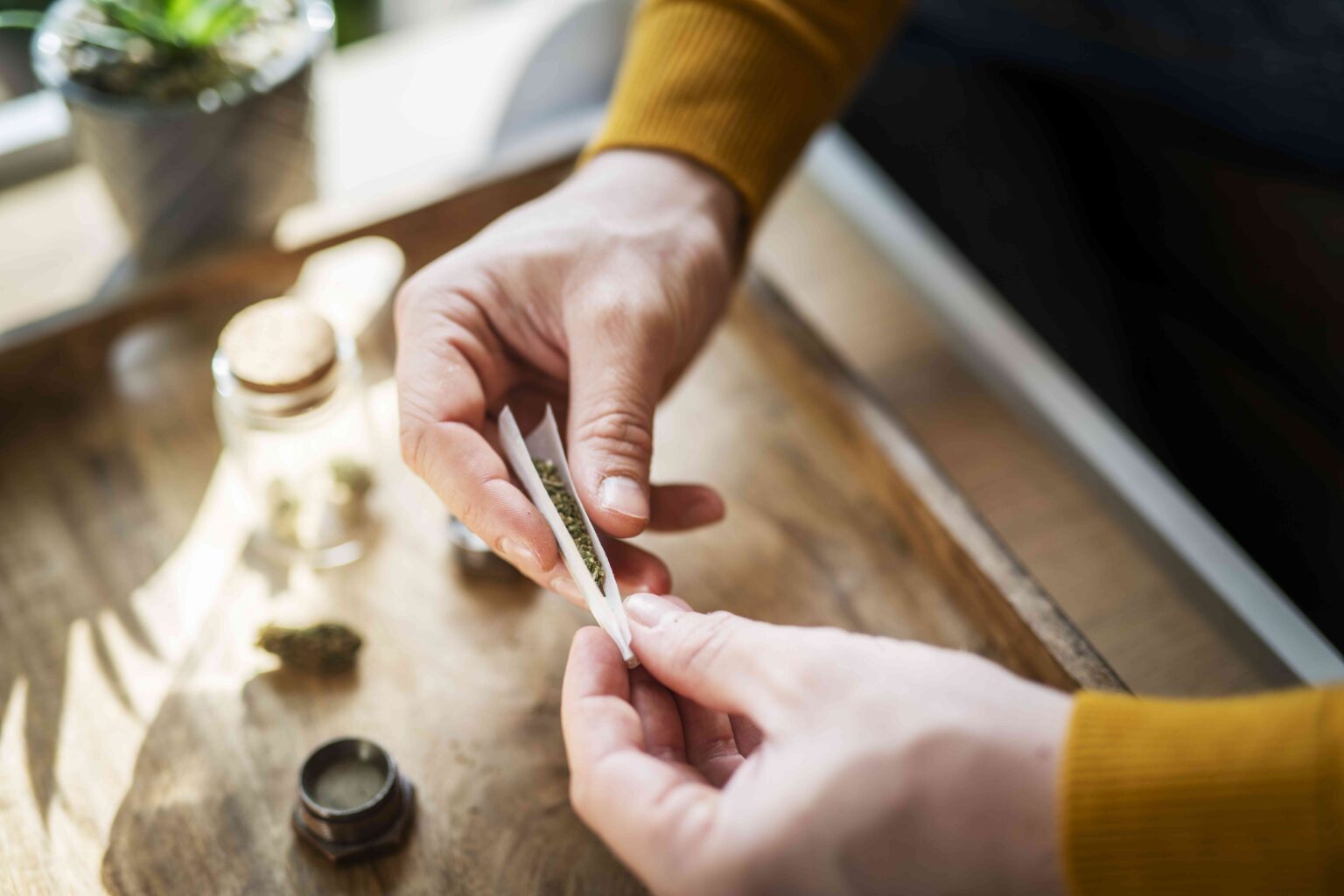 Une étude révèle que la consommation de cannabis est liée à des infections COVID plus graves : voici pourquoi