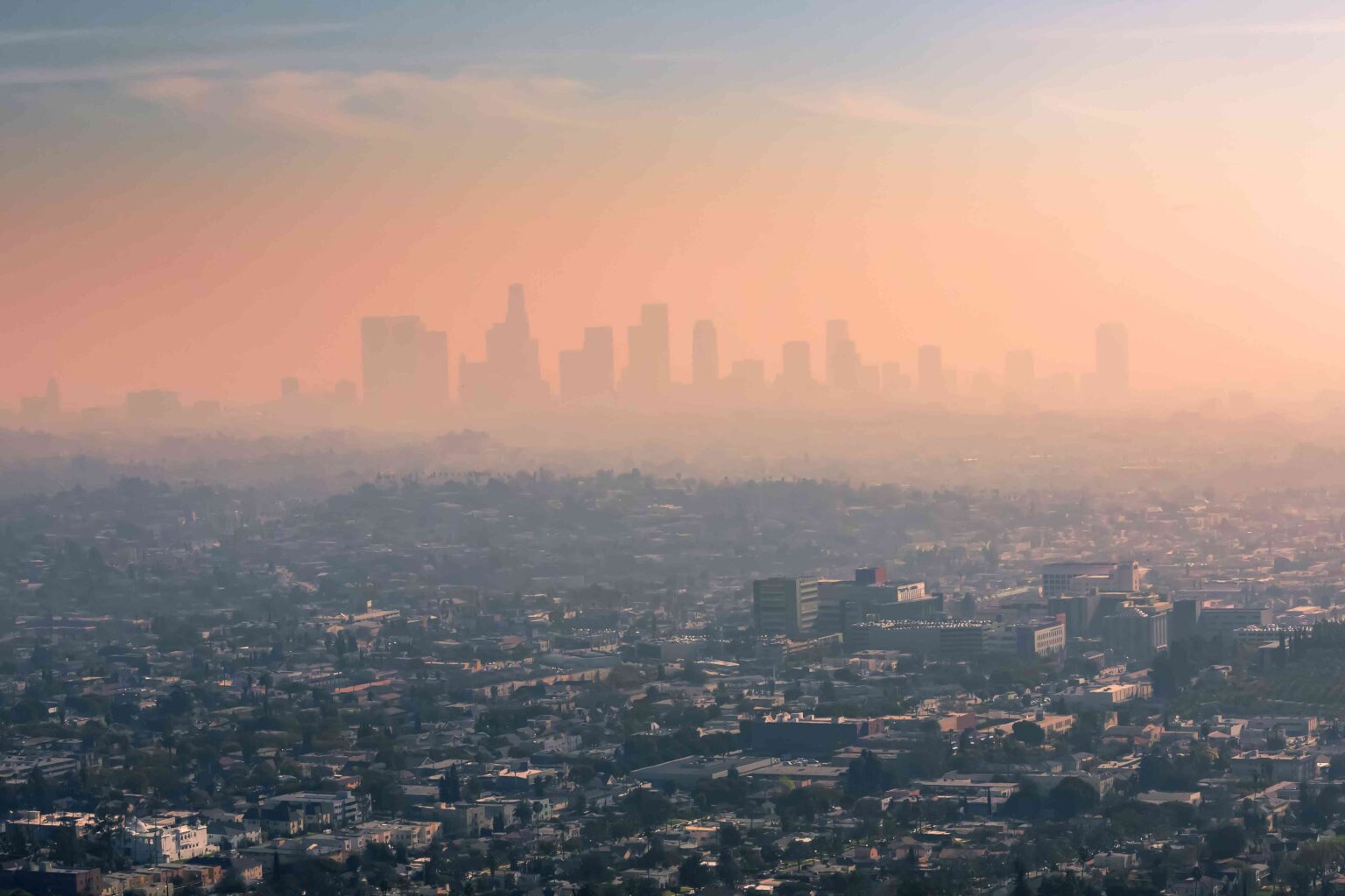 Des chercheurs découvrent un lien surprenant entre la pollution atmosphérique et le lupus Des chercheurs découvrent un lien surprenant entre la pollution atmosphérique et le lupus