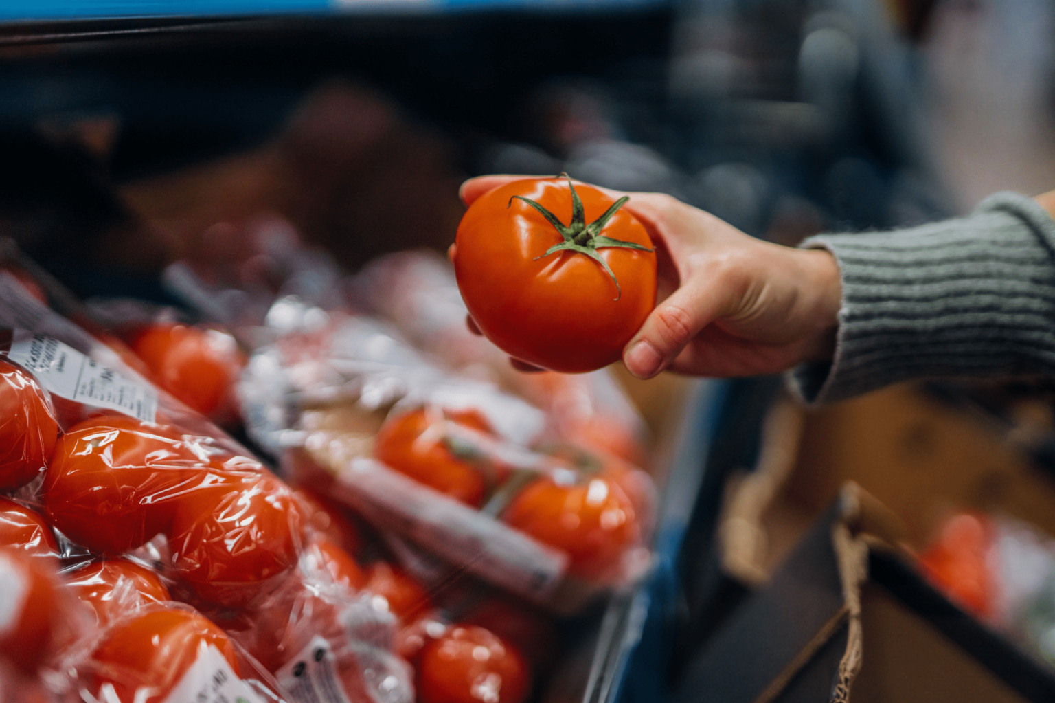 FDA: les tomates rappelées dans ces 3 états sur les préoccupations de Salmonella – que savoir FDA: les tomates rappelées dans ces 3 états sur les préoccupations de Salmonella - que savoir
